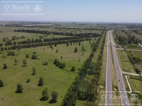 Único campo en venta de 256 has sobre Ruta 2 - Ideal desarrollo Inmobiliario