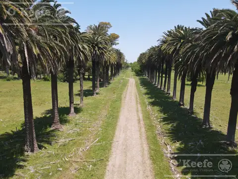 Campo en Venta en Kilómetro 58, Partido de Brandsen