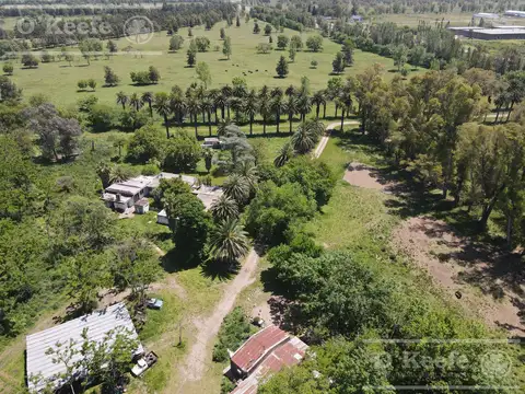 Campo en venta de 256 has sobre Ruta 2 - Ideal desarrollo Inmobiliario