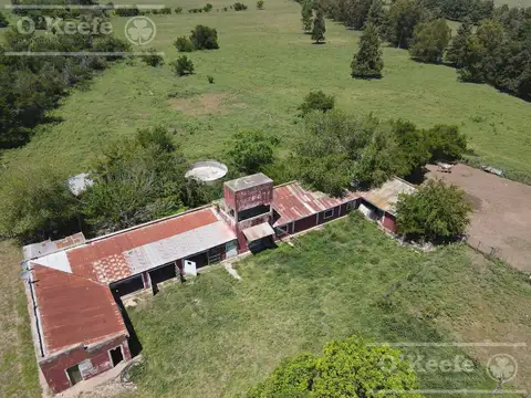 Único campo en venta de 256 has sobre Ruta 2 - Ideal desarrollo Inmobiliario
