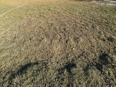 Terreno en Venta de 200,0 m2
