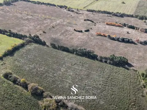 CAMPO DE 28.6 HAS APTO DESARROLLO EN CAPILLA DEL SEÑOR
