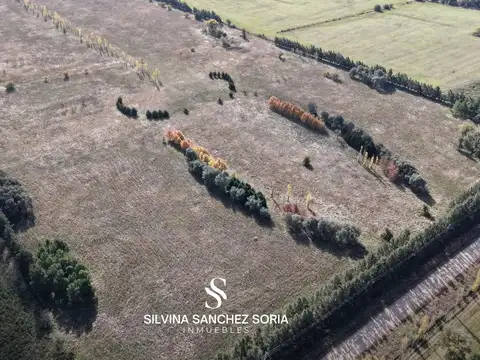 CAMPO DE 28.6 HAS APTO DESARROLLO EN CAPILLA DEL SEÑOR