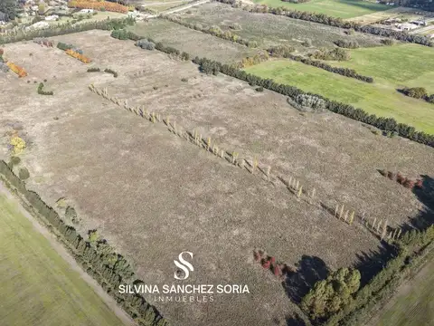 CAMPO DE 28.6 HAS APTO DESARROLLO EN CAPILLA DEL SEÑOR
