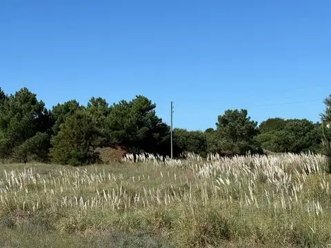 Chacras del Mar 100
