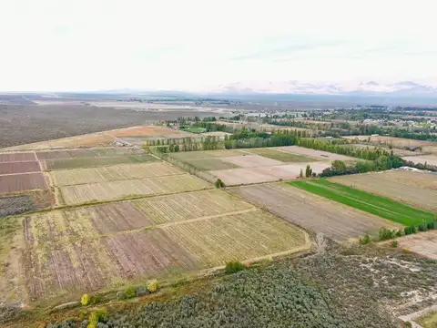 VENTA FINCA VALLE DE UCO SAN CARLOS MENDOZA