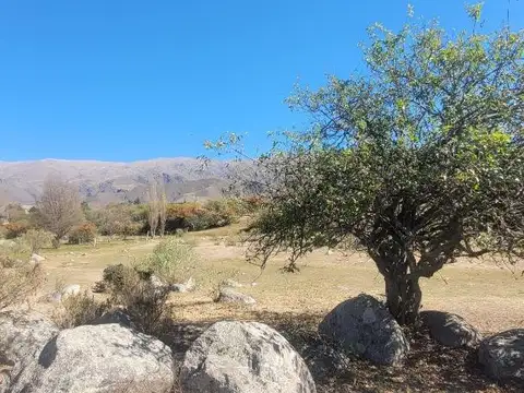 Terreno en Venta 53  mts Frente
