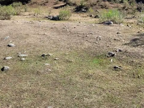 Terreno en Venta de 8168,0 m2