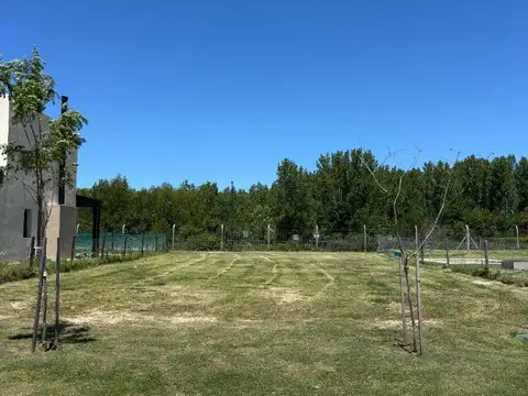 Terreno en Venta, FOT 60