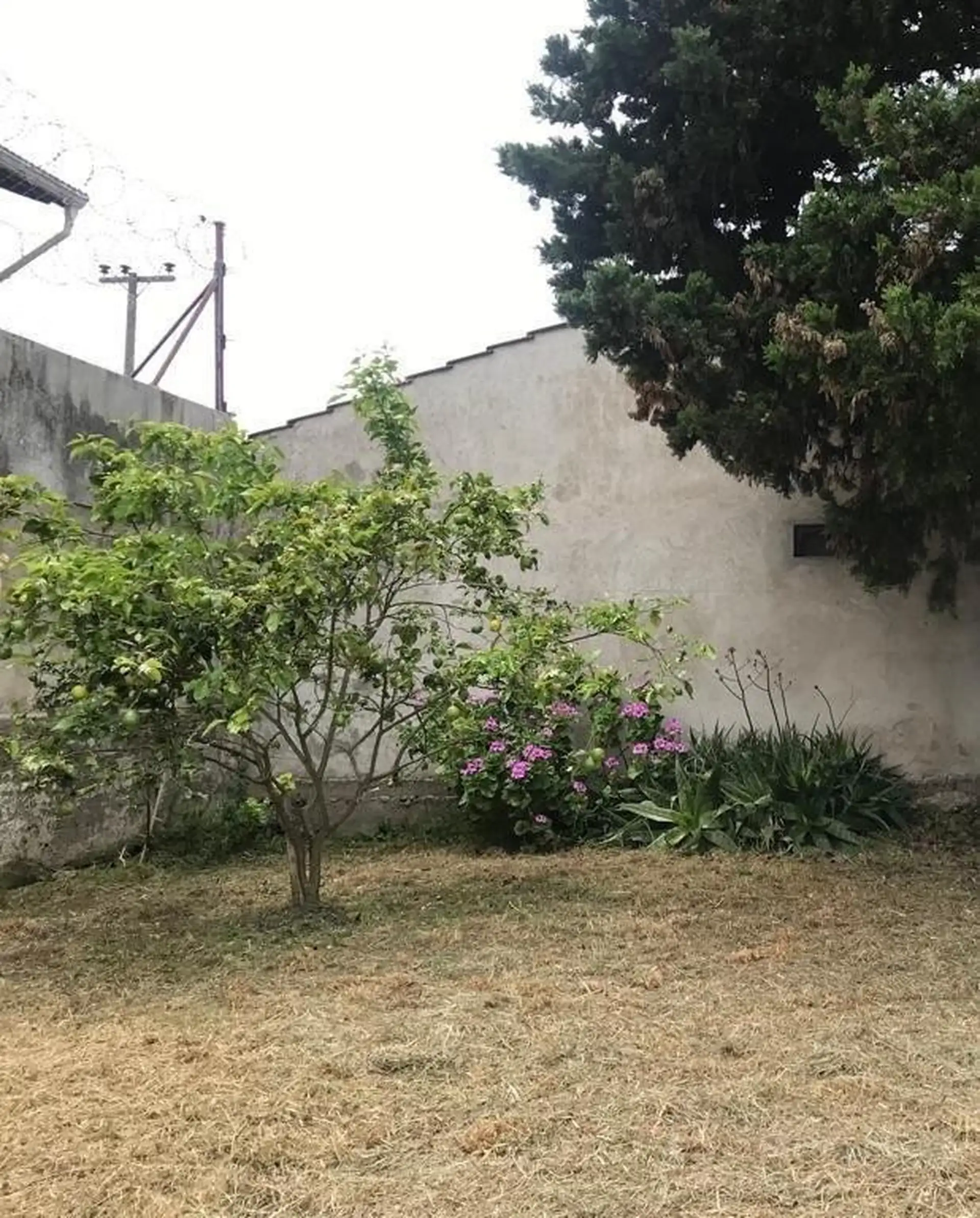 Venta Casa 6 amb. Jardín. Garage y Local, Faro Norte