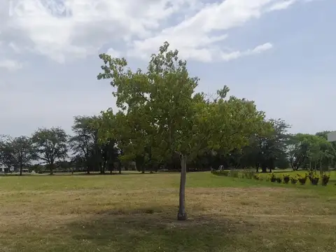 Terreno en Venta 50  mts Fondo