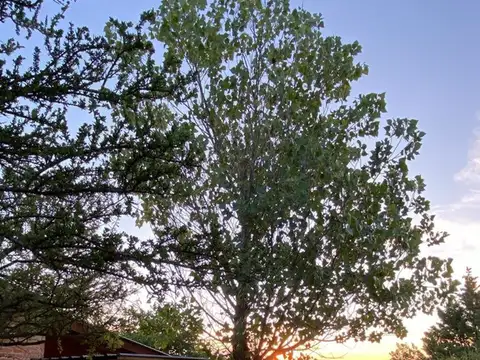 VENTA DE COMPLEJO EN ARROYO LOS PATOS 