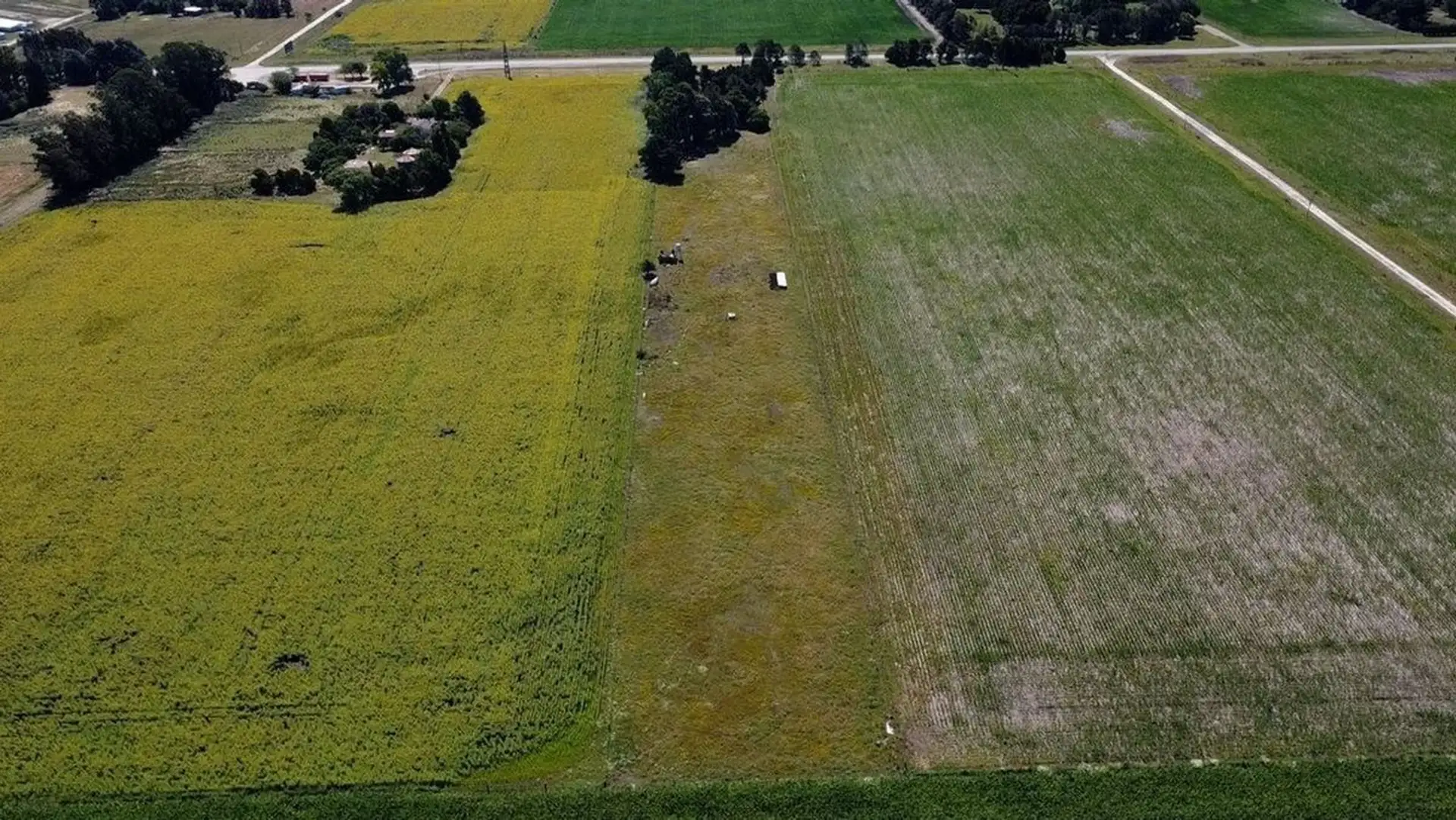 VENTA QUINTA DE 2 HECTARES RUTA 88 LA BALLENERA