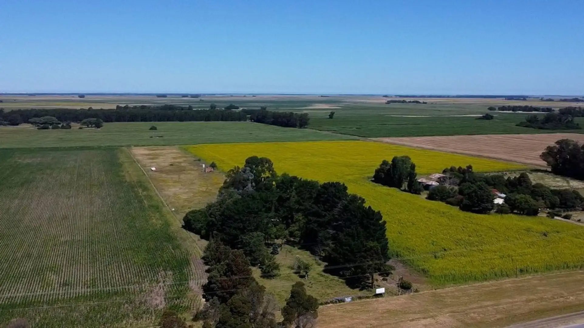 VENTA QUINTA DE 2 HECTARES RUTA 88 LA BALLENERA