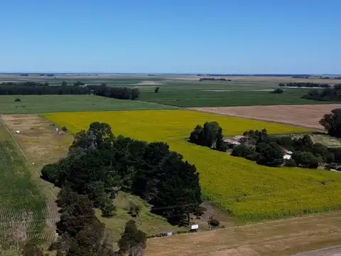 R2F4+97, Yraizos, Provincia de Buenos Aires 100