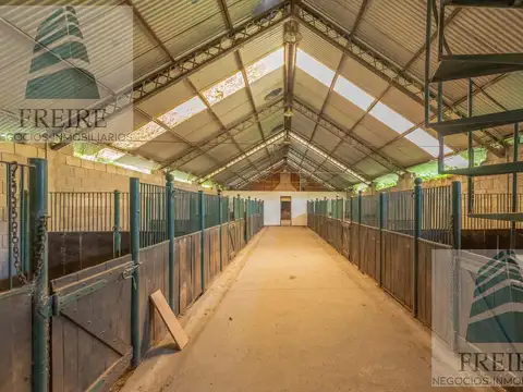 VENDE CAMPO de 24 hectareas con cancha de POLO PILAR Ruta 34