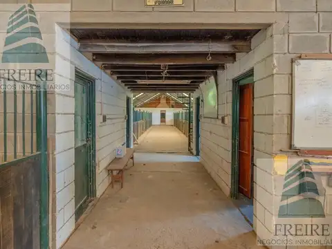 VENDE CAMPO DE 24 hectareas con cancha de POLO a metros de la Ruta 34 Pilar Prov. BS AS