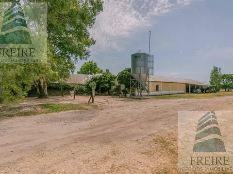 VENDE CAMPO de 24 hectareas con cancha de POLO PILAR Ruta 34