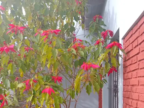 Juan Diaz Solis 1800