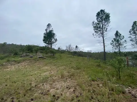 Se vende Lotes con costa de Rio.-