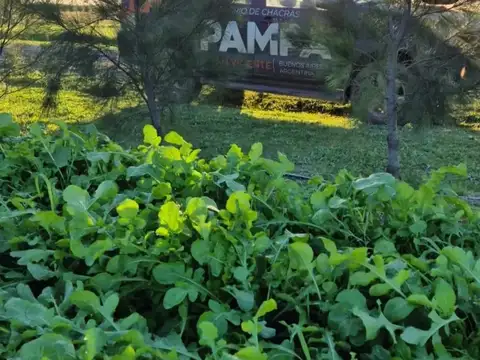 Terreno en Venta de 2000,0 m2