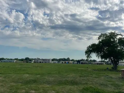 BOOTE Y LUIS TAGLE 100