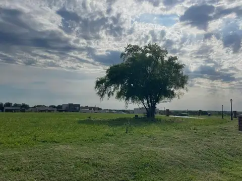 Terreno en Venta de 608,0 m2