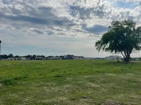 BOOTE Y LUIS TAGLE 100