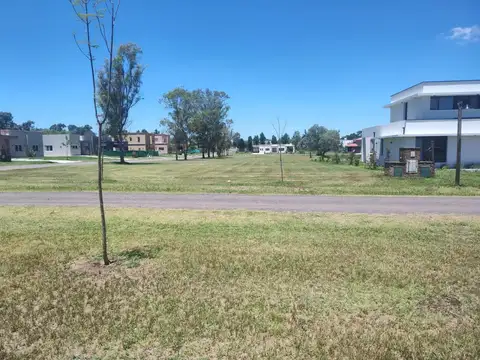 Casuarinas del Pilar