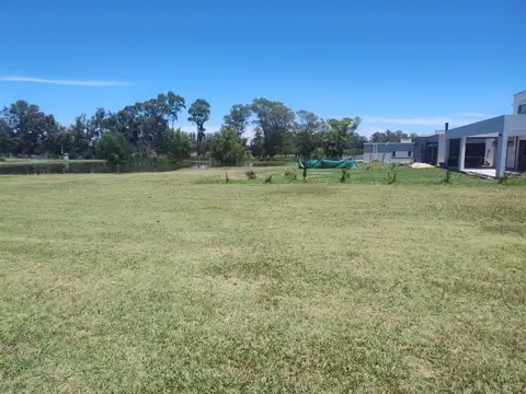 Casuarinas del Pilar