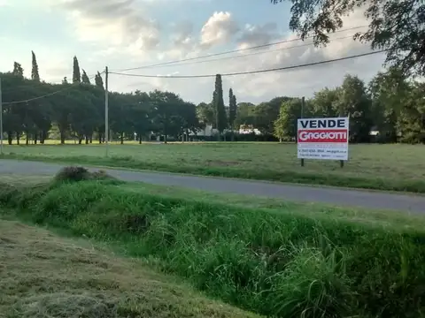 Loteo Paseo del Este