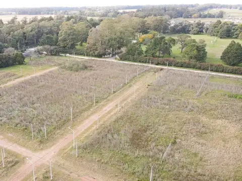 Terreno en Venta de 290,0 m2