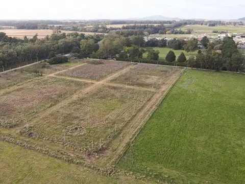 Terreno en Venta en Tandil, USD 19.000