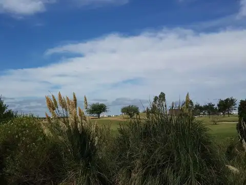 Libertad al 300