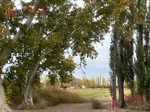 Galpón - Allen