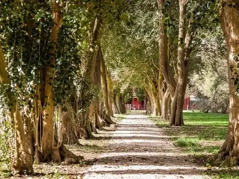 Terreno en venta - 2.400Mts2 - Club de Campo El Mirador, Coronel Brandsen