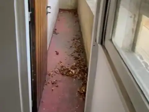 Departamento en Alquiler 30 años