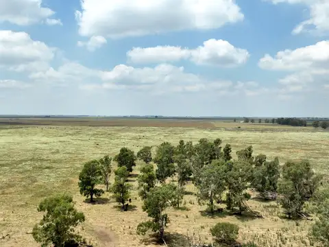 Campo en Venta de 664  ha