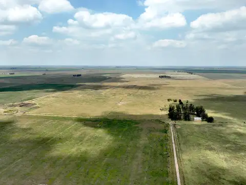Campo Ganadero en Gral. Villegas