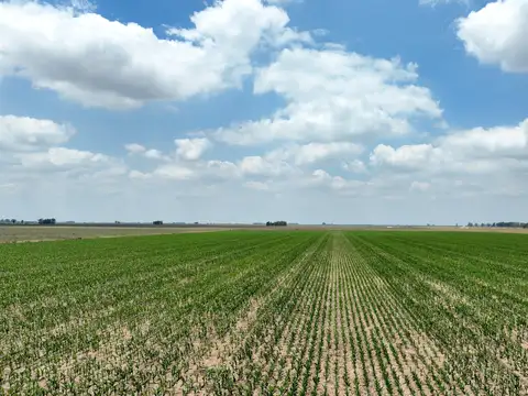 Campo en Venta Ganadero