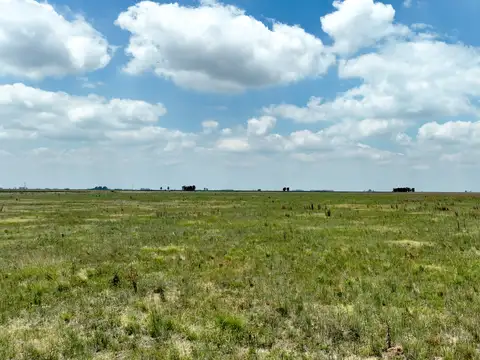 Campo en Venta con Alambrado