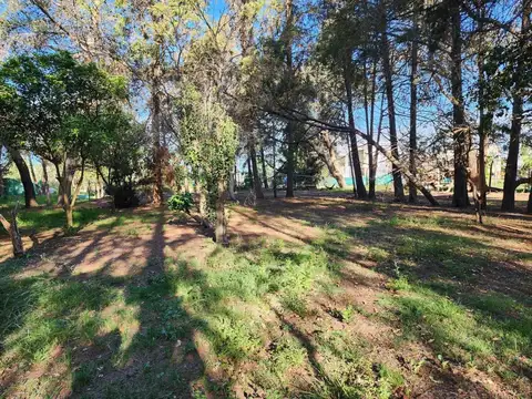 Luis Maria Drago al 500, Manzanares, Pilar 100