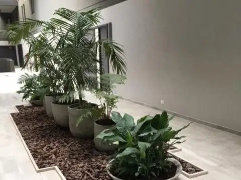 Alquiler Departamento 2 ambientes luminoso con amplio balcón terraza y cochera