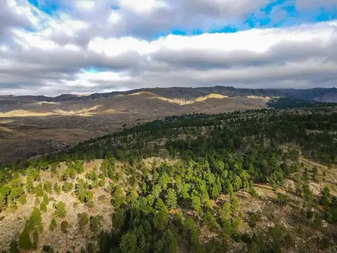 VENTA LOTES COPINA - SIERRAS DE CÓRDOBA