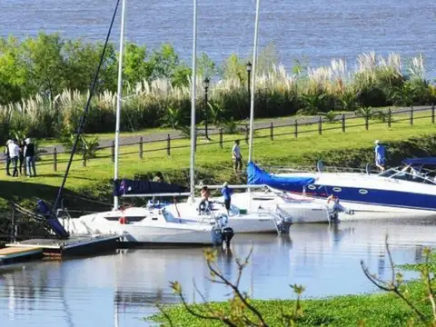 Azahares del Paraná