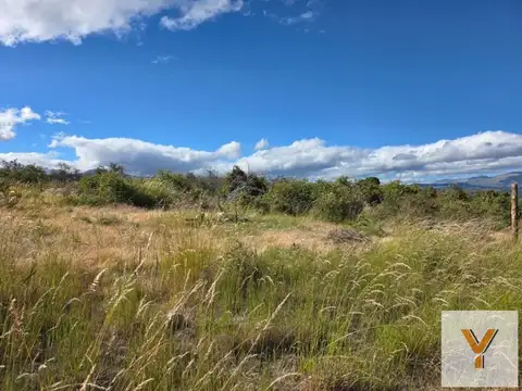 Ruta 259