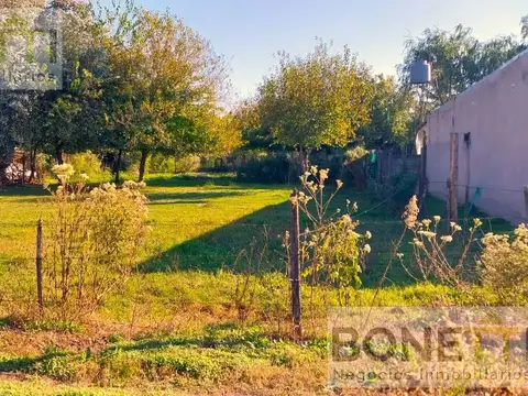 511 e/ 502 y 504 Gowland