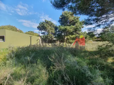 Lote Baldío a Media cuadra de Av. San Bernardo