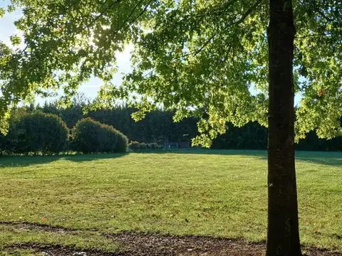 Barrio San Joaquín, Ruta 39 100