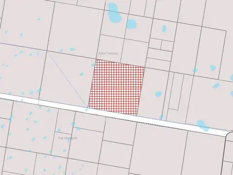 SE VENDE  CAMPO 2.470 HECTAREAS EN VILLA MINETTI